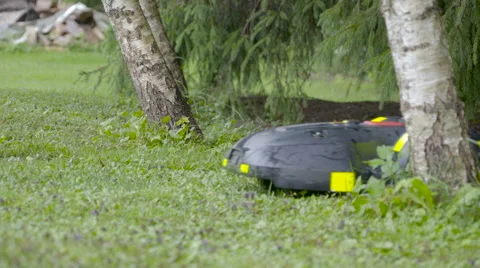 The moving automower on the green ground Stock Footage 64851441