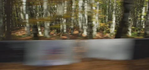 Moving on autumn forest road Stock Footage 147393382