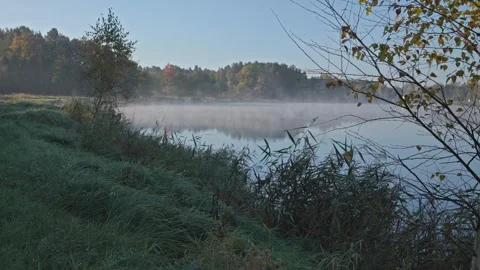 Moving autumn mist over a calm pond in the morning. Stock Footage 346495688