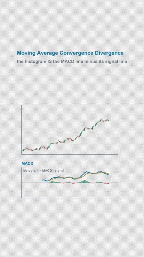 Moving Average Convergence Divergence Labeled Technical Vertical 9x16 Light Видео 339633550