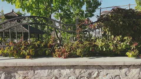 Moving away from the roadside while driving straight ahead, city park view, 4K Stock Footage 253894363