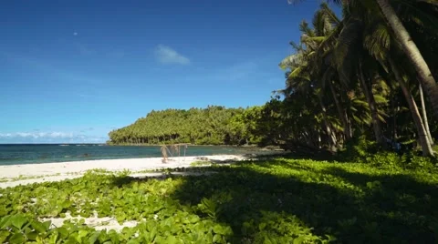 Moving back from a tropical beach with sand and green leafy vines, Philippines Video stock 67441789