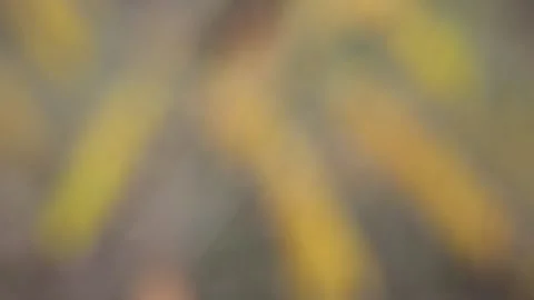 Moving background abstraction Stock-Footage 141099149