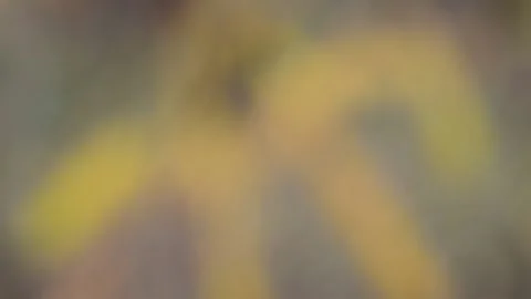 Moving background abstraction Stock-Footage 141099365