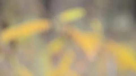 Moving background abstraction Stock-Footage 141099517