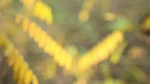 Moving background abstraction Stock-Footage 141099851