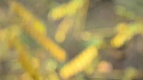 Moving background abstraction Video stock 141099967