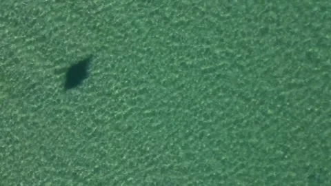 Moving background Stock Footage 283926306