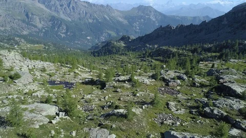 Moving backward above pine woods valley with matterhorn in sunny summer day 動画素材 93186705