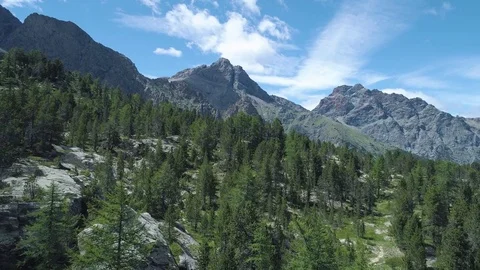 Moving backward away from pine woods forest and rocky mountain in summer da Stock Footage