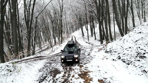 Moving backward suv car in snowed forest Stock Footage 244322804