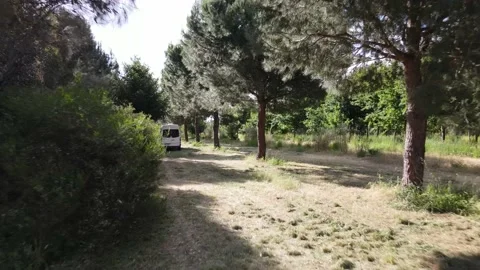 Moving backwards from campervan in a lush tree line camping Stock Footage 229699590