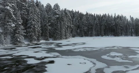 Moving backwards over the thin ice and the unfrozen water of the forest lake Stock Footage 230256676
