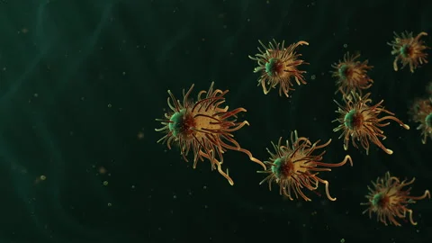 Moving Bacteria in 3d animated liquid Stock Footage 234346478