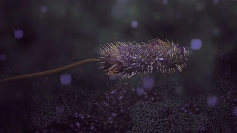 Moving Bacteria in 3d space Stock Footage 234110996