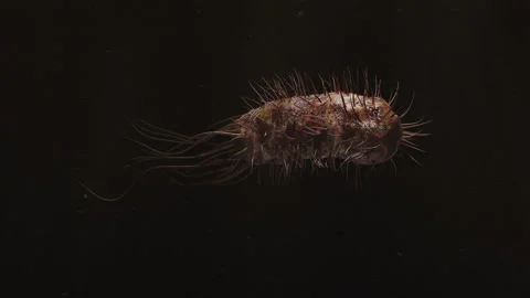 Moving Bacteria close up in 3d Stock Footage 234110677