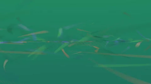 Moving bands on a turquoise background Stock Footage 50312212