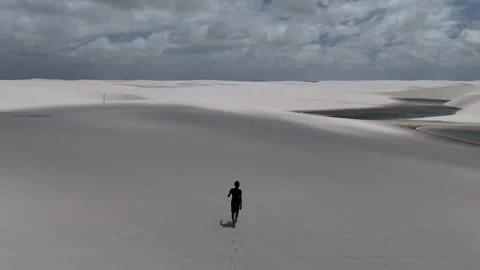 Moving Behind a Walker Across White Dunes and Lagoons Video stock 342445642