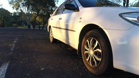 Moving Beside White Car Reflecting Sunset Revealing Trees Stock Footage 78230946