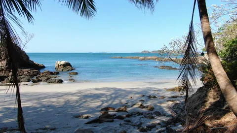 Moving between the palm trees on a tropical beach Stock Footage 105580551