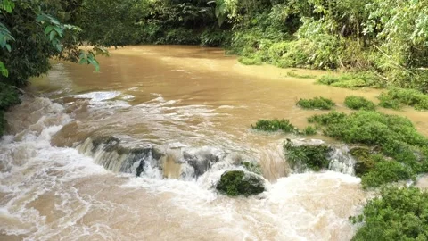 Moving to a bird a view of a tropical river with brown water Stock Footage 142760179