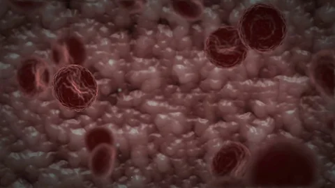 Moving blood cells FX Stock Footage 69863181