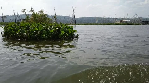 Moving Boat Passing Floating Plants on Sumurup Lake Indonesia Stock-Footage 340242550