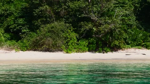 Moving Boat View on Empty Exotic Tropical Beach, Turquoise Sea Water, Green Tree Stock-Footage 159854343