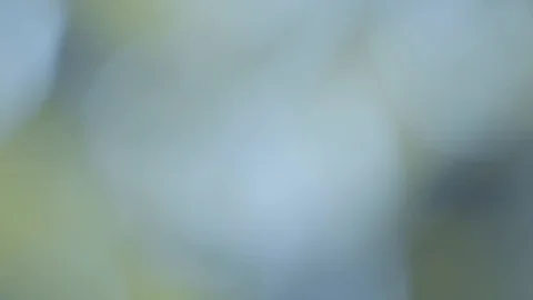 Moving bokeh, defocus, blur, blinking light Vidéo 123086690