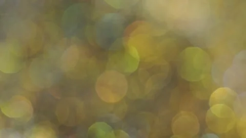 Moving bokeh, defocus, blur, blinking light 스톡 동영상 134146114