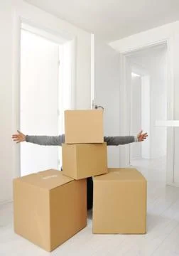 Moving boxes at new home Foto stock