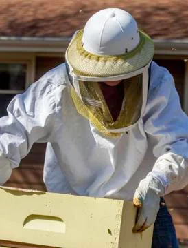 Moving the Boxes 스톡 사진