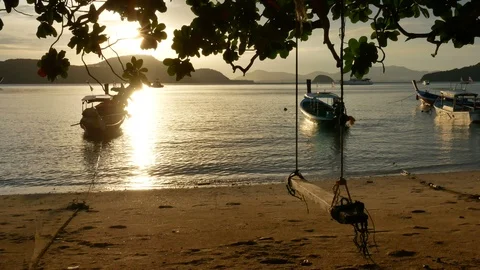 Moving branch leaves tree and swing at sandy beach, long tail boat park with  Stock Footage 99471978