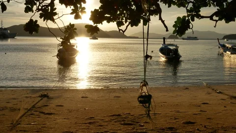 Moving branch leaves tree and swing at sandy beach, long tail boat park with  Stock-Footage 99473371