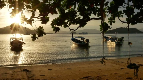 Moving branch leaves tree and swing at sandy beach, long tail boat park with  Video stock 99475237