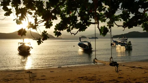 Moving branch leaves tree and swing at sandy beach, long tail boat park with  Video stock 99477153