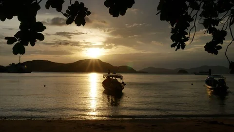 Moving branch leaves tree at sandy beach, long tail boat park with rope in se Stock Footage 99478206