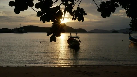 Moving branch leaves tree at sandy beach, long tail boat park with rope in se Stock-Footage 99479053