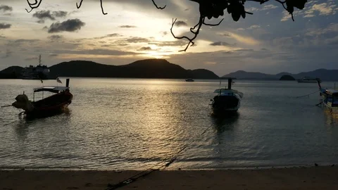 Moving branch leaves tree at sandy beach, long tail boat park with rope in se Video stock 99479918