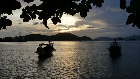 Moving branch leaves tree at sandy beach, long tail boat park with rope in se Video stock 99480046