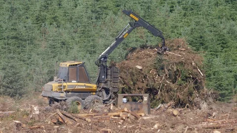 Moving brash on clear fell forestry plantation using log loader Stock Footage 98923286