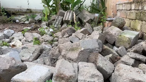 Moving bricks with metal shovel in yard Stock Footage 325254393
