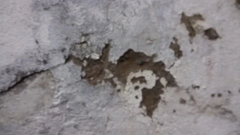 Moving on a broken wall 動画素材 238390267