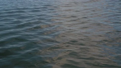 Moving in the calm and soft water of a lake, in Bolivia Stock Footage 237470055