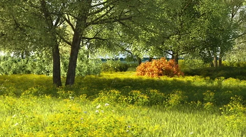 Moving camera along trees Stock Footage 43539232