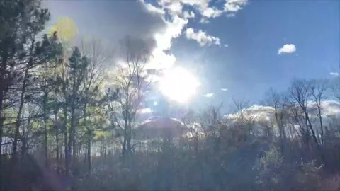 Moving Camera past trees low sun behind- Stock Footage 174826759