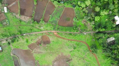 Moving cars on roads which situated in between rice farm Video stock 156669853