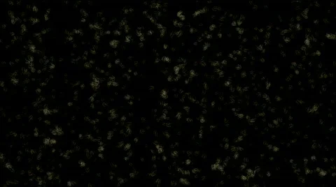 Moving in chaos bacterias Stock Footage 568909