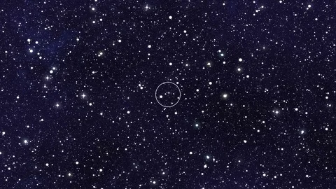 Moving circle signal waves on a space 動画素材 70023362