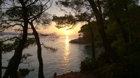 A moving clip through a pine forest towards the sunset Video stock 205485740